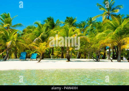 Au Belize Caye du sud - petite Caribbean Paradise Island avec tropical beach pour des vacances de détente et Banque D'Images