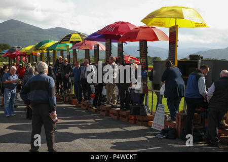 Des bookmakers en ligne établissent la cote pour les parieurs à Killarney Les courses de chevaux, le comté de Kerry, Irlande. Banque D'Images