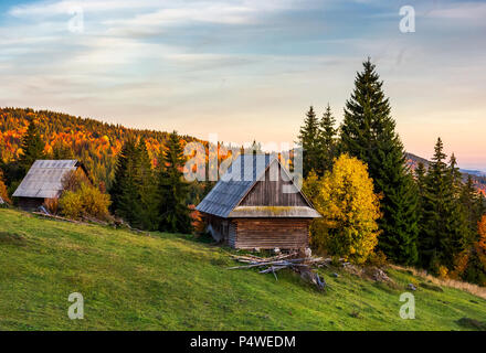 Bûcher abandonnés en forêt. beau paysage d'automne des montagnes Apuseni. joli paysage nature au coucher du soleil Banque D'Images