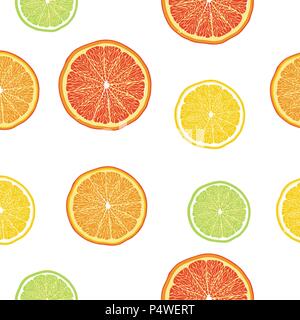 Profil de transparente des oranges, citrons, limes, des pamplemousses. Vector illustration. L'alimentation papier peint de agrumes Illustration de Vecteur