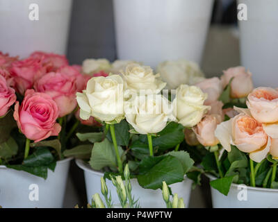 Rouge, blanc, rose bouquets de roses à l'extérieur de devanture de magasin de fleur Banque D'Images
