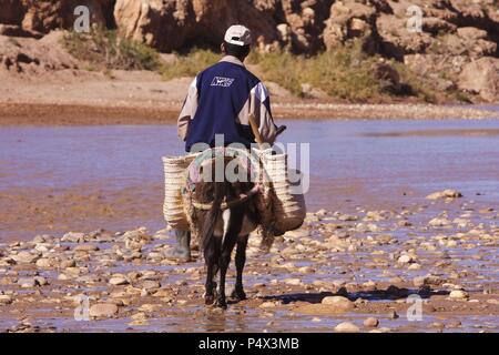 Homme avec âne dans Asif Mellah river. Kasbah d'Ait Benhaddou. Le Maroc. Banque D'Images