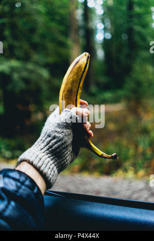 Tenant une banane hors de la fenêtre d'une voiture dans une forêt Banque D'Images