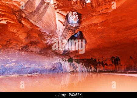 Cathédrale d'or dans la région de Neon Canyon, Utah, le Parc National de Escalante Banque D'Images