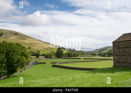 Campagne idyllique près de Muker dans Swaledale, North Yorkshire, Angleterre. Une belle journée de septembre. Banque D'Images