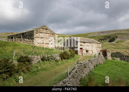 Granges en pierre et les murs de pierres sèches à Muker dans Swaledale, North Yorkshire, Angleterre. Banque D'Images