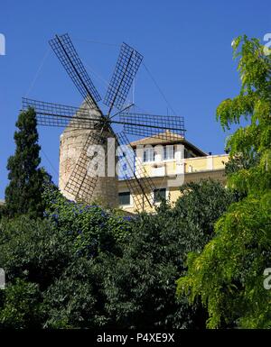 Molino de Viento en el Barrio Viejo. Palma de Majorque. Islas Baleares. España. Banque D'Images