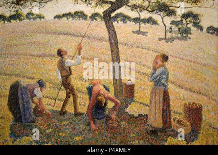 ARTE SIGLO XIX. FRANCIA. CAMILLE PISSARRO (1830-1903). Pintor francés fundador del impresionismo. COLECCION "DE MANZANAS EN Eragny-sur-Epte' (1888). Oleo sobre lienzo. Museo de Arte de Dallas (Dallas Museum of Art). Estado de Texas. Estados Unidos. Banque D'Images