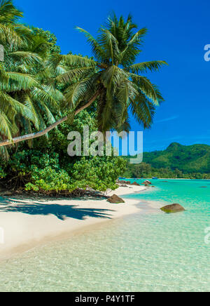 Anse à la Mouche - Paradise Beach en Seychelles, Mahe Banque D'Images