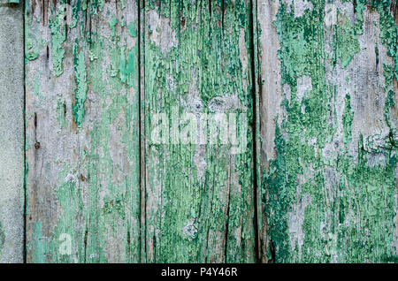 Vieux bois de chêne pour l'arrière plan. Vintage peint en vert arrière-plan d'un vertical en bois planche minable. La texture du bois rustique. Vieux fond panneaux. Cop Banque D'Images