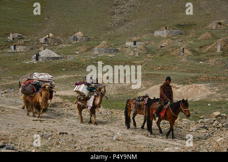 Nomades kazakhs arrondissant ses chevaux, Keketuohai, Xinjiang, Chine Banque D'Images