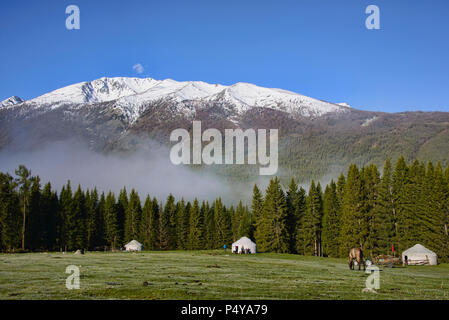 Accueil sur la plage ; à yourtes du parc national du lac Kanas, Xinjiang, Chine Banque D'Images