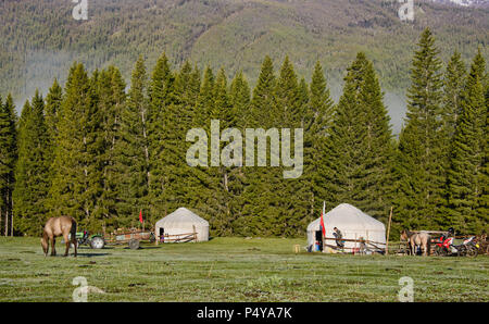 Accueil sur la plage ; à yourtes du parc national du lac Kanas, Xinjiang, Chine Banque D'Images