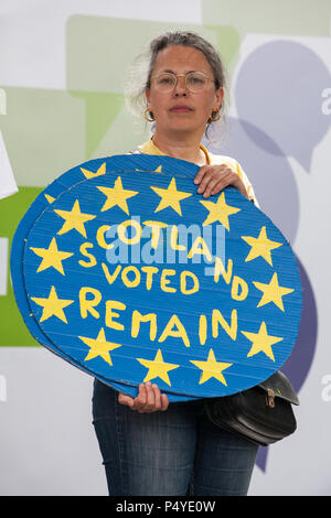 Londres, Royaume-Uni. 23 juin 2018. Un militant pro-UE assiste à un rassemblement à la place du Parlement à l'occasion du deuxième anniversaire du référendum d'appeler à un "vote du peuple' sur n'importe quel Brexit deal proposé par le gouvernement pour gérer ses relations futures avec l'Union européenne. Credit : Mark Kerrison/Alamy Live News Banque D'Images