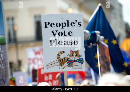 Londres, Royaume-Uni. 23 juin 2018. Vote des peuples Mars, Londres, 23 juin 2018 Crédit : Chris Moos/Alamy Live News Banque D'Images