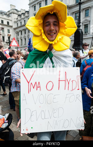 Londres, Royaume-Uni. 23 Juin, 2018. Anti-Brexit les supporters affluent pour prendre part à un vote du peuple dans le centre de Londres mars suivie d'un rassemblement à la place du Parlement sur un deuxième anniversaire de l'Brexit référendum. Les manifestants exigent que les conditions définitives de l'Brexit deal négocié par le gouvernement sont mis devant les citoyens britanniques dans un vote public. Credit : Wiktor Szymanowicz/Alamy Live News Banque D'Images