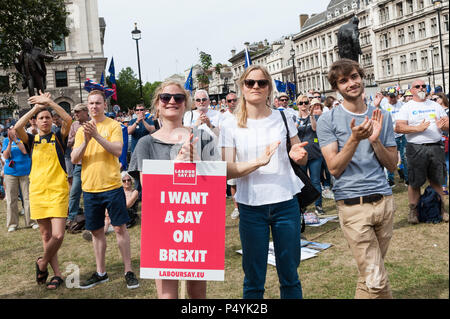 Londres, Royaume-Uni. 23 Juin, 2018. Une centaine de milliers de partisans anti-Brexit prendre part au vote du peuple rassemblement à la place du Parlement dans le centre de Londres sur un deuxième anniversaire de l'Brexit référendum. Les manifestants exigent que les conditions définitives de l'Brexit deal négocié par le gouvernement sont mis devant les citoyens britanniques dans un vote public. Credit : Wiktor Szymanowicz/Alamy Live News Banque D'Images