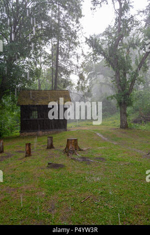 Forêt dans la vallée Szalajka dans Szilvasvarad, la Hongrie le jour de pluie. Banque D'Images