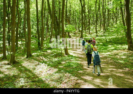 Les enfants en excursion dans la forêt Banque D'Images