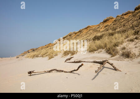 Allemagne, Schleswig-Holstein, au nord de l'archipel Frison, Sylt, plage à Rotes Kliff Banque D'Images