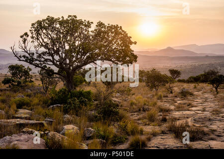 L'Afrique, Afrique du Sud, Mpumalanga, Panorama Route, Blyde River Canyon Nature Reserve au coucher du soleil Banque D'Images