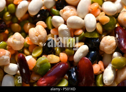 Grain blanc et de haricots noirs, lentilles, pois chiches vert orange Banque D'Images