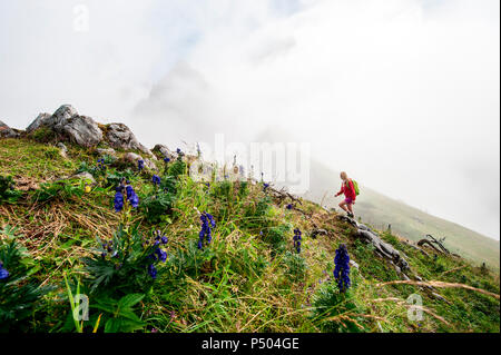 L'Autriche, l'état de Salzbourg, Filzmoos, Female hiker Banque D'Images