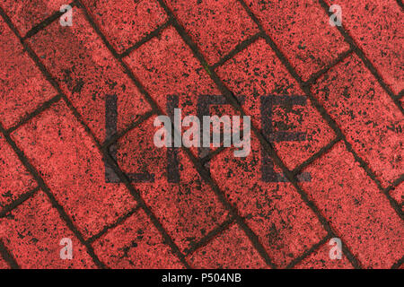 Mot 'Vie' inscrit sur pavé rouge Banque D'Images