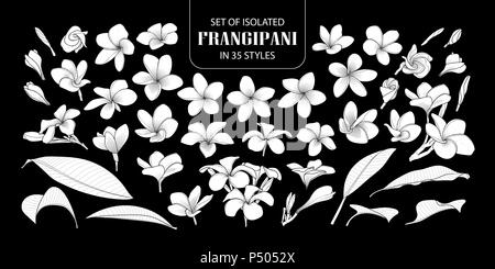 Ensemble de silhouette blanche isolée dans 35 frangipani styles. Cute vector illustration fleur dessiné à la main en avion blanc sans contours sur noir backgroun Illustration de Vecteur