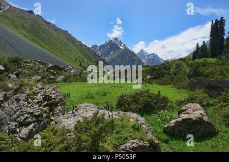 Beaux paysages alpins dans les montagnes du Tian Shan, Karakol, Kirghizistan Banque D'Images