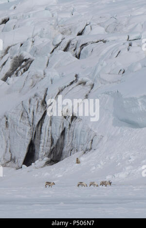 La Norvège, Svalbard, Soraust-Svalbard Réserve Naturelle, Barentsoya Freemansundet, Freeman (son) d'eau entre les îles d'Edgeøya et Barentsøya. Banque D'Images