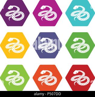 Mexican kingsnake icons set 9 vector Illustration de Vecteur