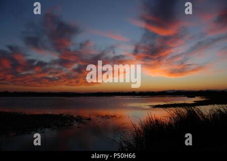 Puesta de sol en el Parque Natural de los "Aigüamolls de l'Empordà' humedal, situado en la confluencia de los Rios Fluvià y Muga. Comarca de l'Alt Empordà. Provincia de Girona. Cataluña. Banque D'Images