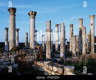 La SYRIE. Apamée (Afamia). Maisons Romaines. Ruines. Banque D'Images