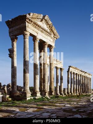 La Syrie. Apamée ou Apameia (Afamia). Colonnade en le Cardo Maximus. Banque D'Images