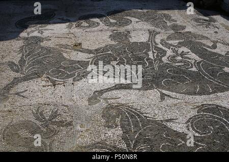 Ostia Antica. Thermes de Buticosus. 1re - 2e siècles. Caldarium. Mosaïque représentant Triton et Néréide. Près de Rome. Banque D'Images