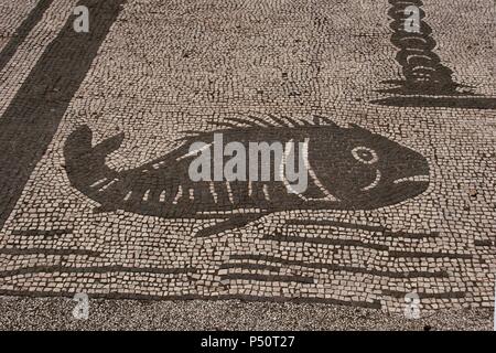 Mosaïque romaine. Le poisson. Depuis le Forum des sociétés ou la Piazza delle Corporazione. Ostia Antica. L'Italie. Banque D'Images