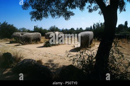 ARTE PREHISTORICO. NEOLITICO. ESPAÑA. TOROS DE GUISANDO. Figuras zoomorfas toscamente graníticos esculpidas en bloques y que corresponden a la llamada CULTURA DE LOS VERRACOS de la Meseta (S. II. a. C.) Guisando. Provincia de Avila. Castille-león. Banque D'Images