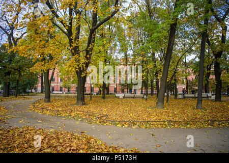 Saint-pétersbourg, Russie - 13 Oct 2016. Parc de la ville à l'automne à Saint Pétersbourg, Russie. Banque D'Images