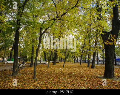 Saint-pétersbourg, Russie - 13 Oct 2016. Parc de la ville à l'automne à Saint Pétersbourg, Russie. Banque D'Images