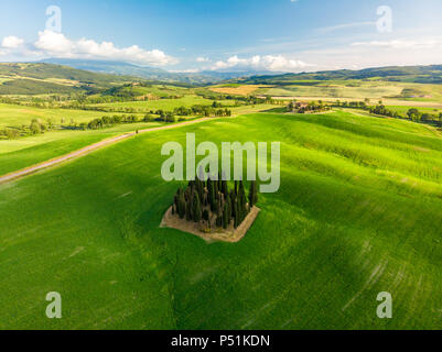 Beau paysage de la Toscane en Italie - Groupe de cyprès italien près de San Quirico d'Orcia - vue aérienne - Val d'Orcia, Toscane, Italie Banque D'Images