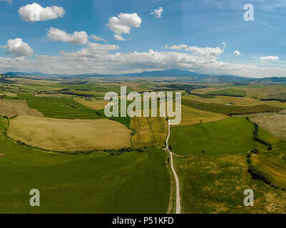Route de cyprès dans le Val d'orcia (Val d'Orcia) près de Pienza en Toscane, Italie - cyprès le long de la célèbre route blanche, ou strada bianca Banque D'Images