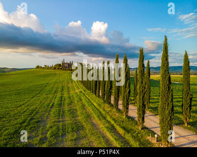 Beau paysage paysage de Toscane en Italie - cyprès le long de la route blanche - vue aérienne - près de Pienza, Toscane, Italie Banque D'Images