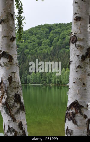 Lac de Saint Anne Banque D'Images