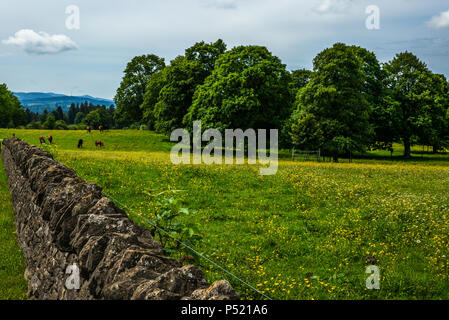 Clôture en pierre authentique dans le Jura Alpes en Suisse - 5 Banque D'Images