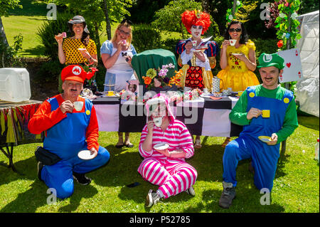 Bantry, Irlande. 24 Juin, 2018. Bumbleance - le Children's National Ambulance Service de l'Irlande est un service essentiel pour les enfants malades. Une collecte a eu lieu au Westlodge Hotel Bantry, aujourd'hui à soleil torride avec Alice au Pays des merveilles étant la robe de thème. Photo de l'événement sont les organisateurs et les bénévoles. Credit : Andy Gibson/Alamy Live News. Banque D'Images