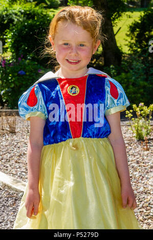 Bantry, Irlande. 24 Juin, 2018. Bumbleance - le Children's National Ambulance Service de l'Irlande est un service essentiel pour les enfants malades. Une collecte a eu lieu au Westlodge Hotel Bantry, aujourd'hui à soleil torride avec Alice au Pays des merveilles étant la robe de thème. Photo de l'événement est 5 ans Grace Crowley de Bantry. Credit : Andy Gibson/Alamy Live News. Banque D'Images