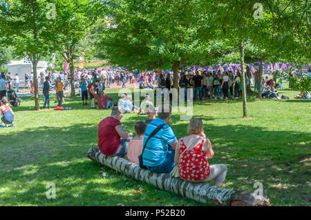 Glasgow, Ecosse, Royaume-Uni. 24 Juin, 2018. Glasgow Mela, un festival de musique multiculturel annuel tenu dans le parc de Kelvingrove. Cette année, les artistes interprètes ou exécutants inclus Miss Pooja, Akbar Ali, Black Star Steel Band, G Ville Desi, Raj Brass Band, École de danse thaïlandaise, D & F Bros Grand cirque traditionnel indien et danseurs bangra Gabhru de Panjab. Credit : Skully/Alamy Live News Banque D'Images