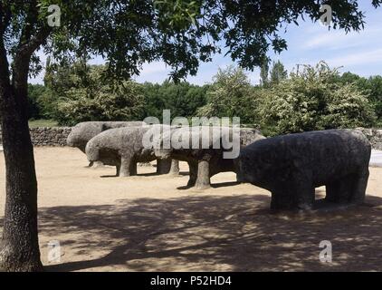 ARTE PREHISTORICO. NEOLITICO. ESPAÑA. TOROS DE GUISANDO. Figuras zoomorfas toscamente graníticos esculpidas en bloques y que corresponden a la llamada CULTURA DE LOS VERRACOS de la Meseta (S. II a. C.). EL TIEMBLO. Provincia de Avila. Castille-león. Banque D'Images