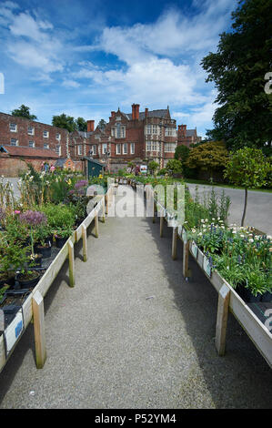Burton Agnes Hall et Elizabethan jardins clos, East Riding of Yorkshire, Angleterre, RU, FR. Banque D'Images
